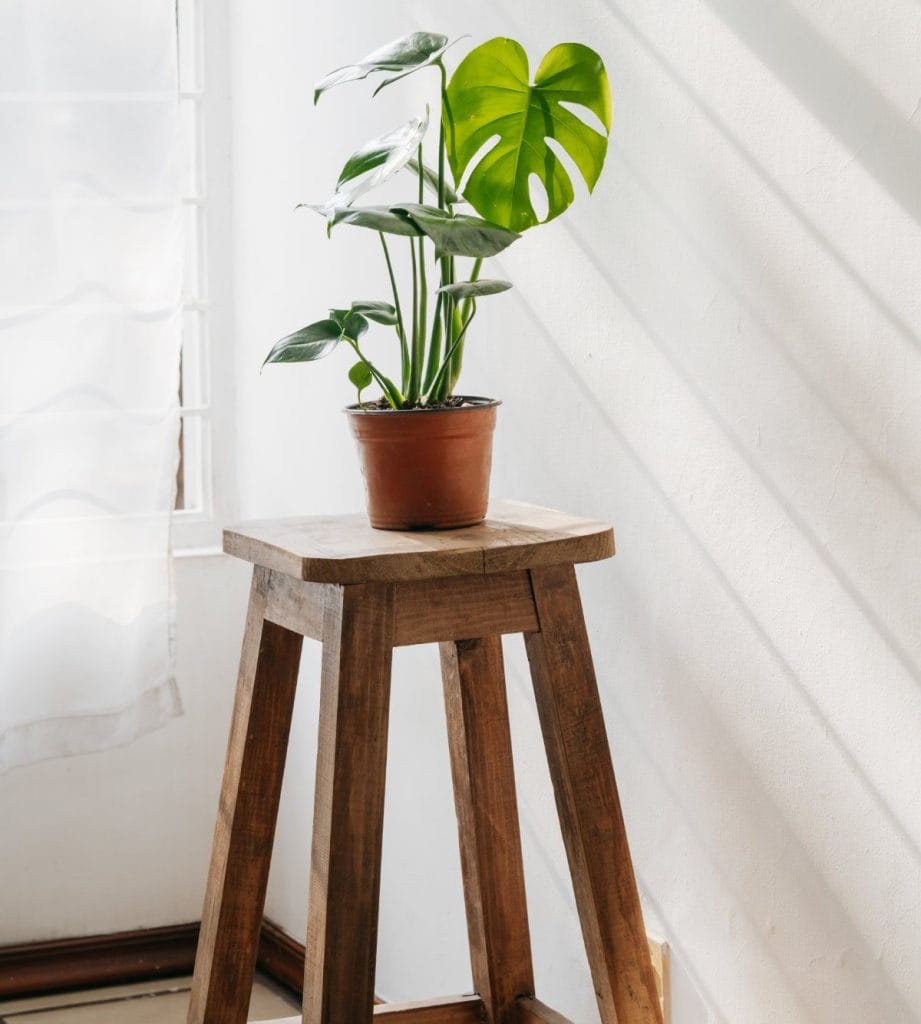 plant stand