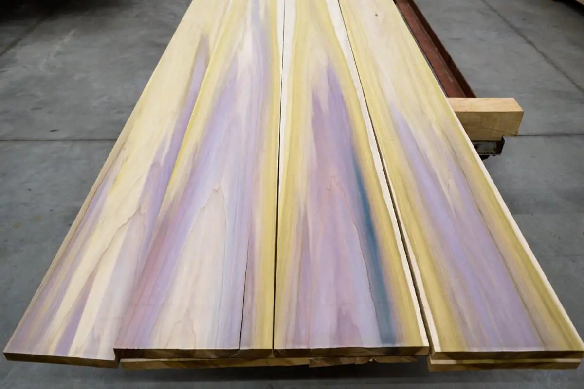 The Natural Artistry Of Rainbow Poplar Wood (Plus Videos)